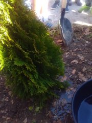 IMG_20170321_134423.jpg